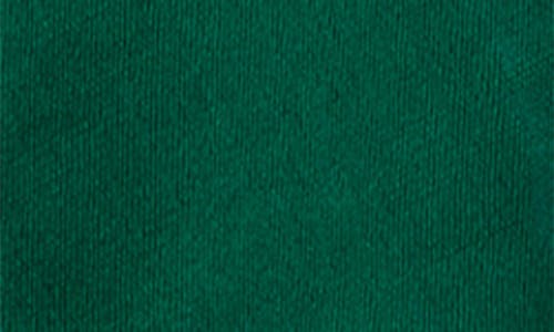 Saachi Cashmere Silk Eyelash Fringe Scarf In Green
