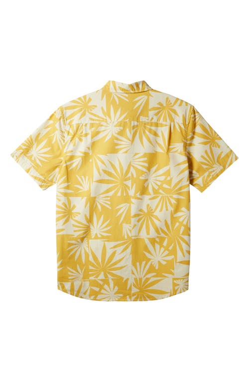 Shop Quiksilver Apero Frond Print Short Sleeve Organic Cotton Button-up Shirt In Ochre Apero Organic