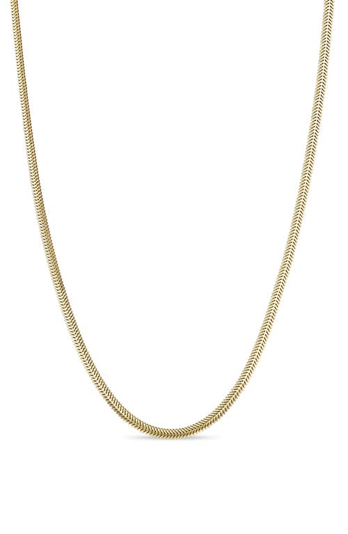 Shop Zoë Chicco 14k Gold Flat Snake Chain Necklace In Yellow Gold