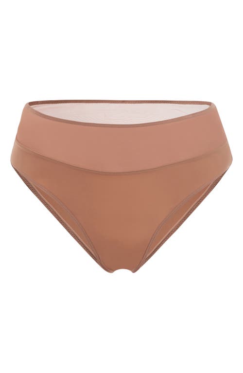 Wolford Mesh Panel Briefs In Macchiato