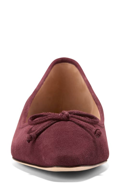 COLE HAAN COLE HAAN CHLEA POINTED TOE BALLET FLAT 