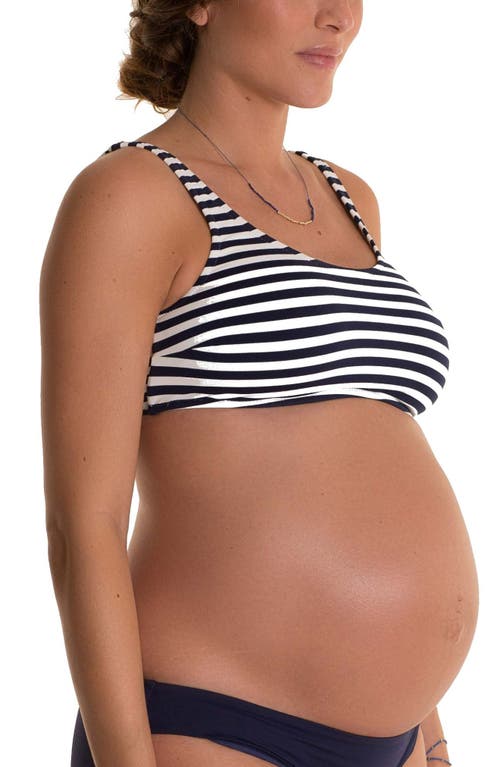 Alba Stripe Maternity Bikini Top in Navy/White