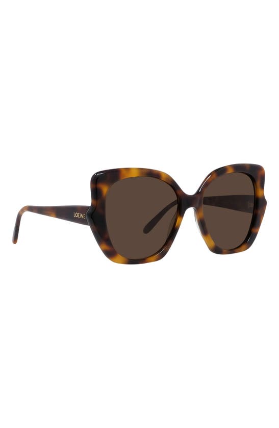 Shop Loewe Thin 55mm Geometric Sunglasses In Dark Havana / Brown