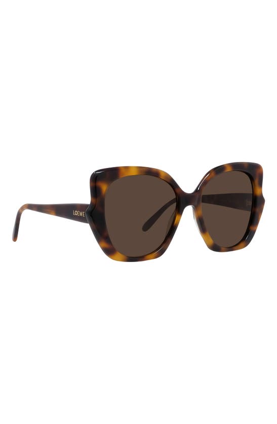 Loewe Thin 55mm Geometric Sunglasses In Dark Havana / Brown
