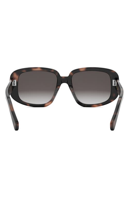 Celine Bold 3 Dots 55mm Geometric Sunglasses In Havana/gradient Roviex