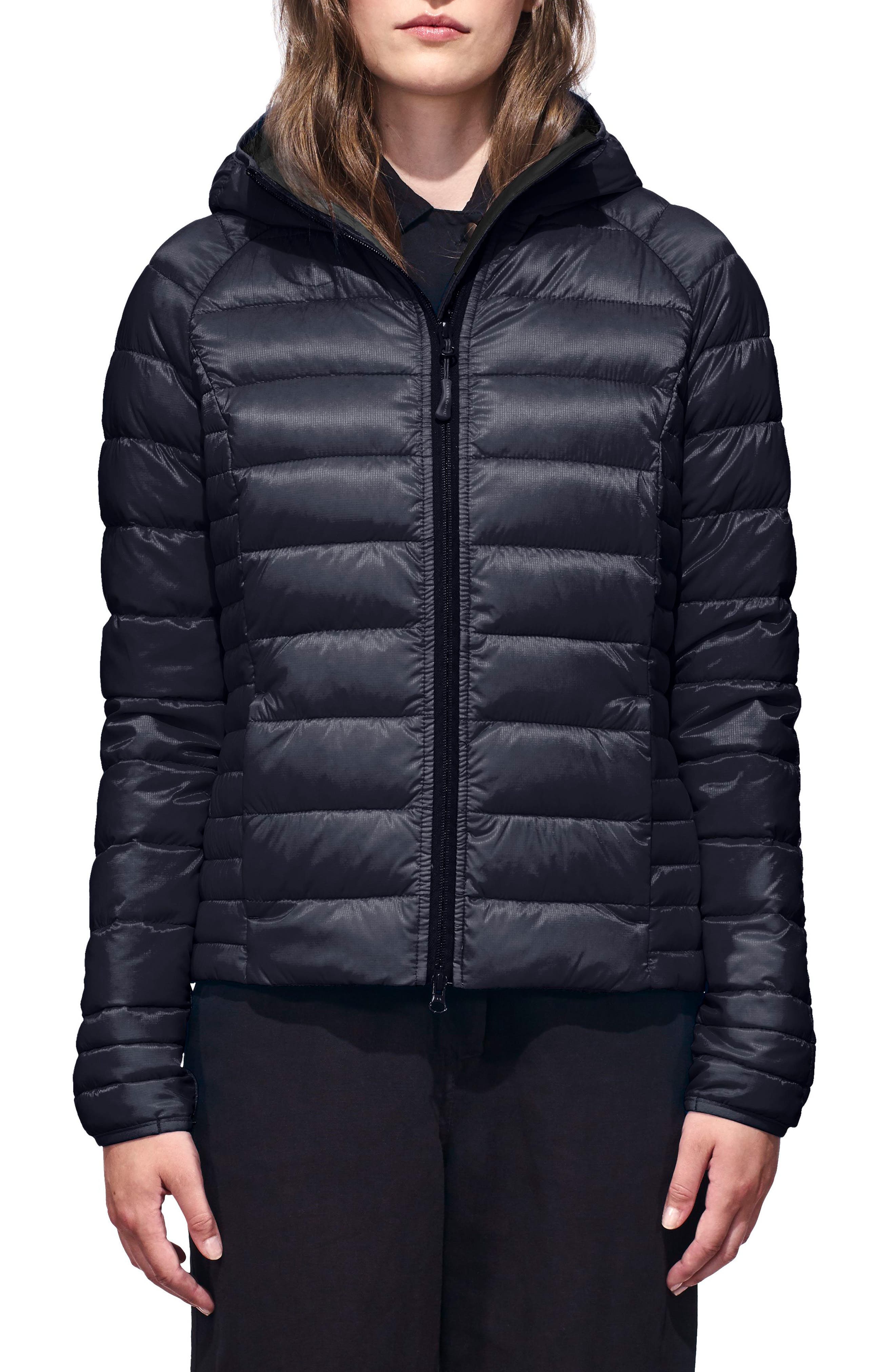 Canada Goose