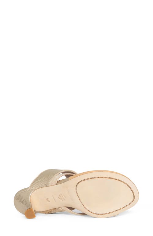 Donald Pliner Louka Sandal In Sand/plati