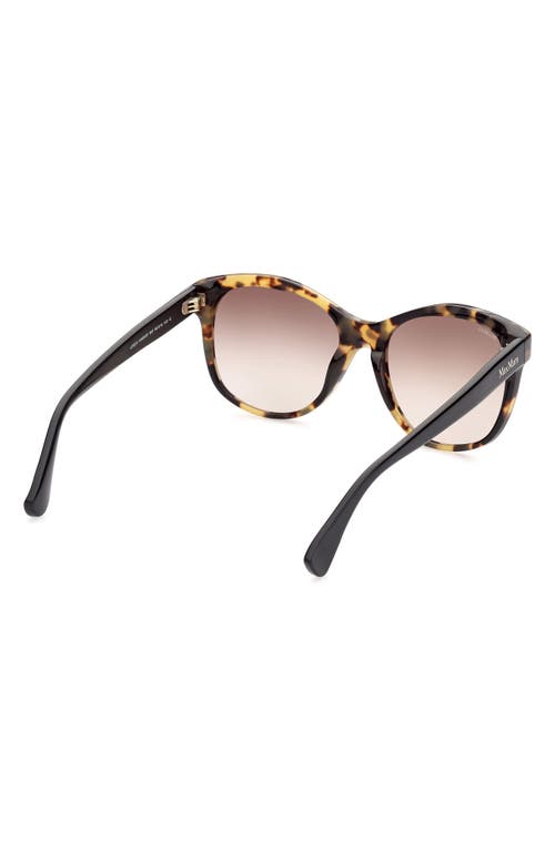 Shop Max Mara 56mm Butterfly Sunglasses In Havana/other/gradient Brown