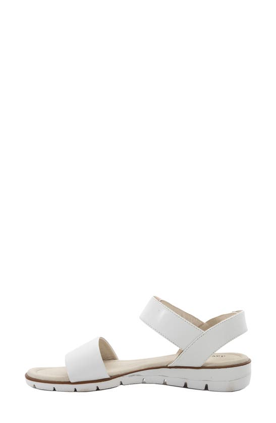 Shop David Tate Scala Slingback Sandal In White