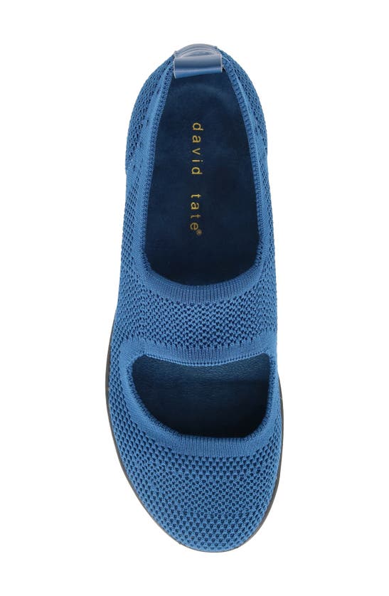 David Tate Knit Mary Jane In Navy