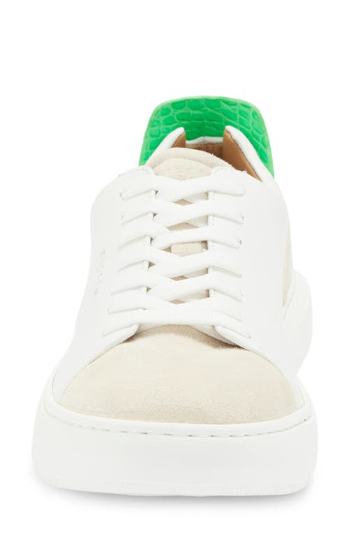 Shop Buscemi Uno Croc Embossed Sneaker In White/green