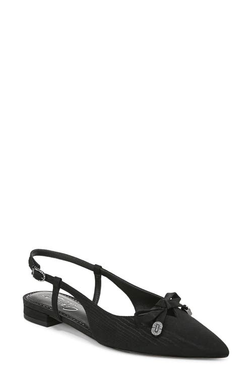 Shop Circus Ny By Sam Edelman Lafayette Pointed Toe Slingback Sandal In Black