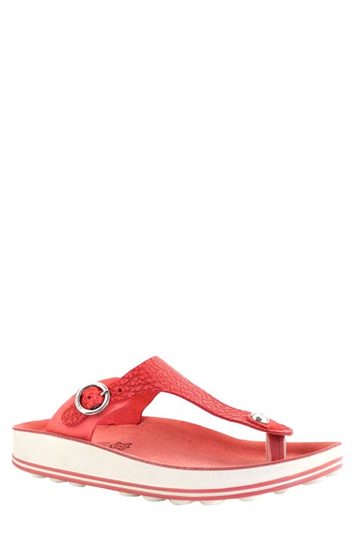 Fantasy Sandals Arianna T-Strap Sandal in Red Vintage