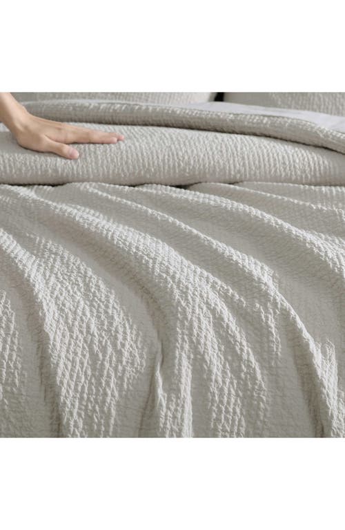 Vera Wang Puckered Comforter Set In Silver Leaf