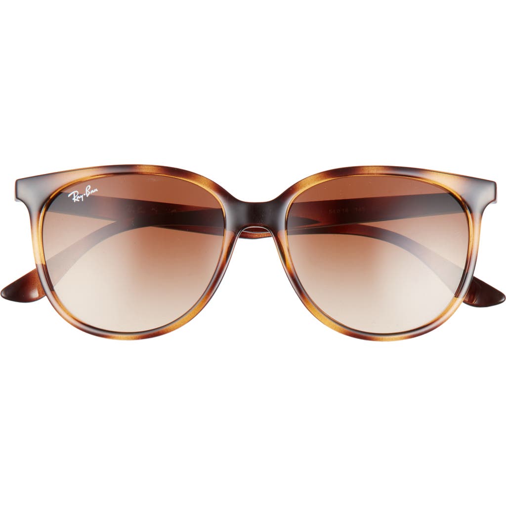 Ray Ban Ray-ban 54mm Gradient Square Sunglasses In Brown