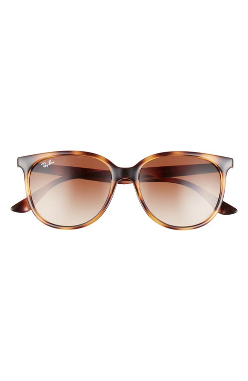 Ray-Ban 54mm Gradient Square Sunglasses in Havana /Gradient Brown at Nordstrom