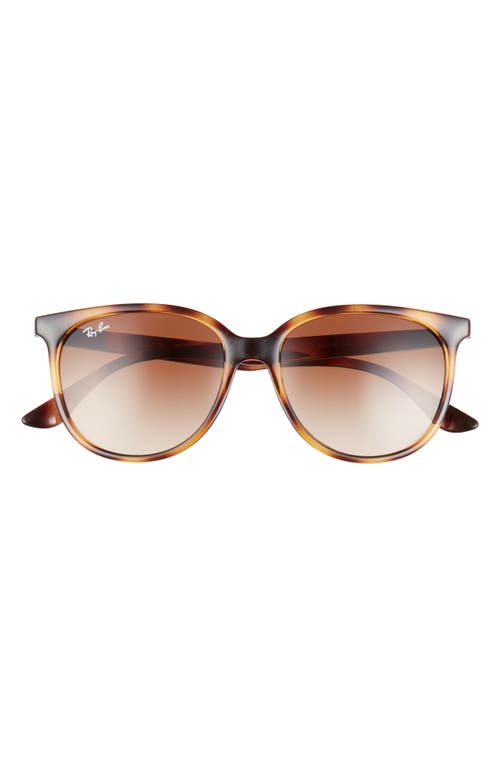 Shop Ray Ban Ray-ban 54mm Gradient Square Sunglasses In Havana/gradient Brown