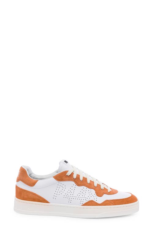 Shop P448 Bali Sneaker In Sunset-white