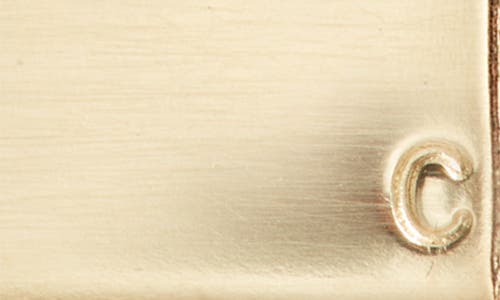 Set & Stones Goldie Initial Tag Pendant Necklace In Gold/c