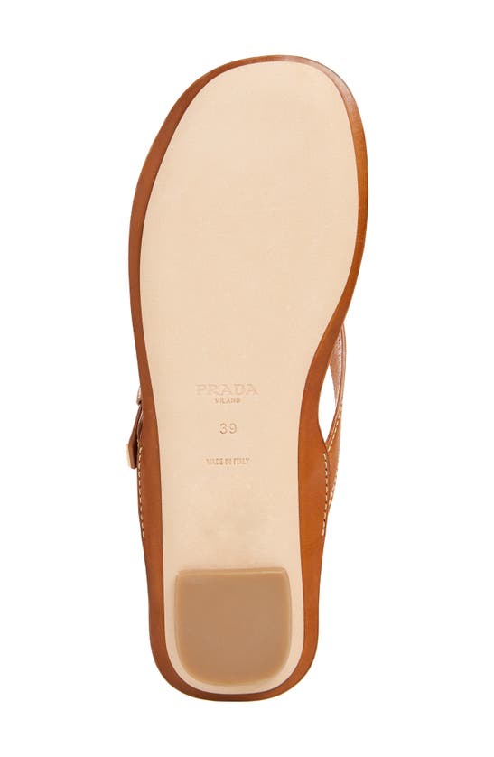 Shop Prada Buckle Leather Flip Flop In Cuoio