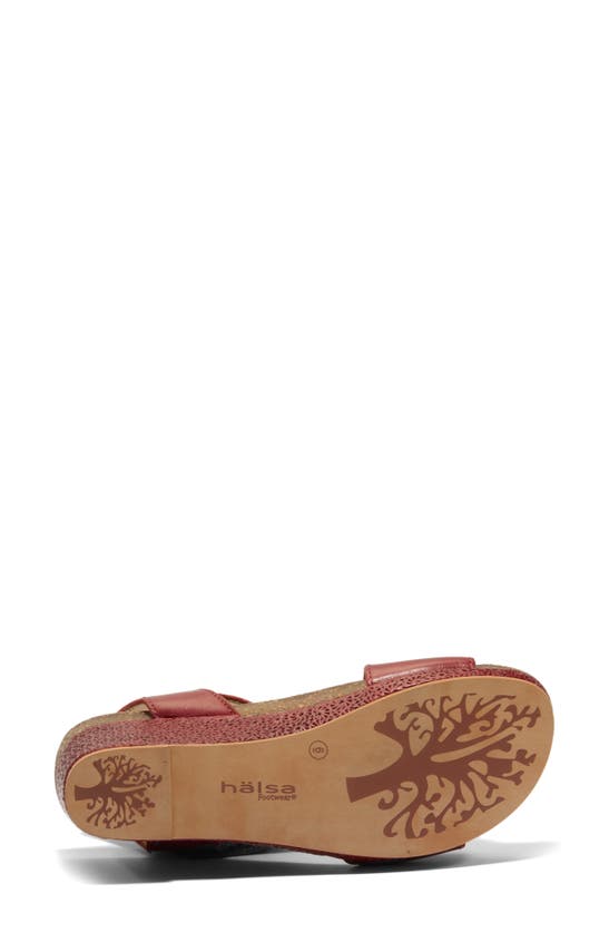 Shop Halsa Footwear Gisella Wedge Sandal In Dark Red