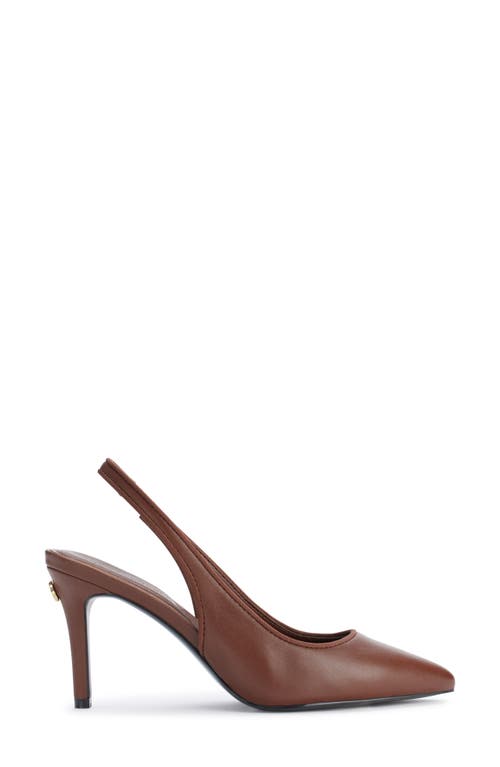 Shop Karl Lagerfeld Paris Rosalyn Slingback Pointed Toe Pump In Cognac