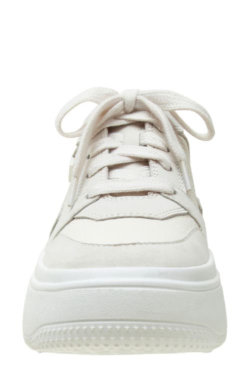 Shop Linea Paolo Gains Platform Sneaker In Snow