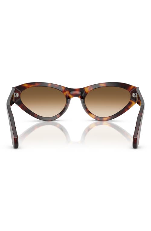 Persol 53mm Polarized Butterfly Sunglasses In Havana
