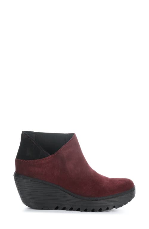 Shop Fly London Yego Wedge Bootie In 011 Wine/black