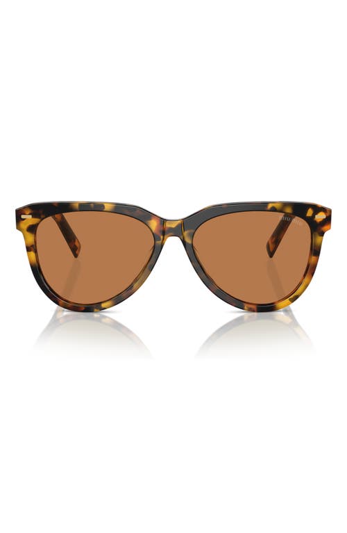 Miu Miu 56mm Phantos Sunglasses In Blond Havana