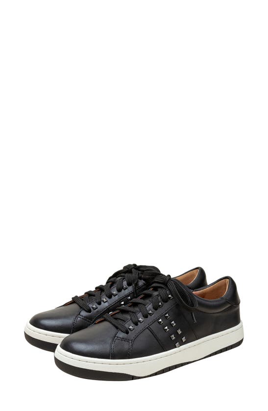 Linea Paolo Kerry Sneaker In Black