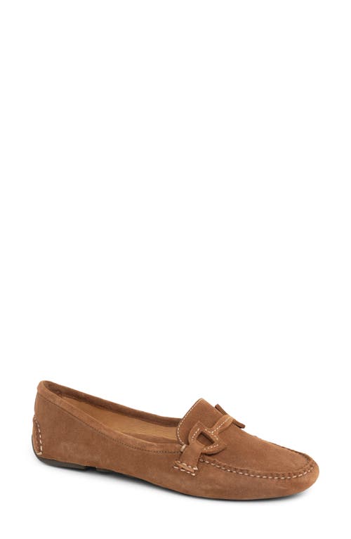 Shop Patricia Green Jane Bit Loafer In Cognac Suede