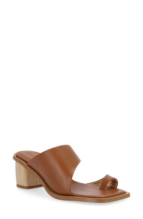 ALOHAS Josie Slide Sandal Tan at Nordstrom,