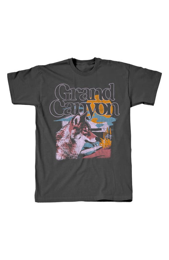 Shop Tsc Miami Grand Canyon Cotton Graphic T-shirt In Charcoal
