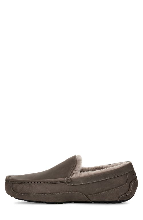 Shop Ugg(r) Ascot Slipper In Thunder Cloud