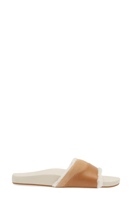 Olukai Hō‘ala Genuine Shearling Slide Sandal In Tan/puka