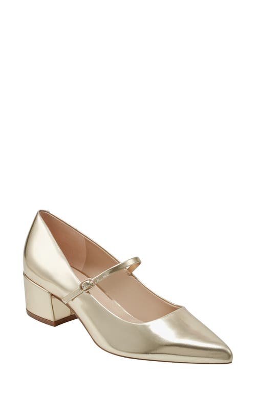 Luccie Pointed Toe Pump in Gold