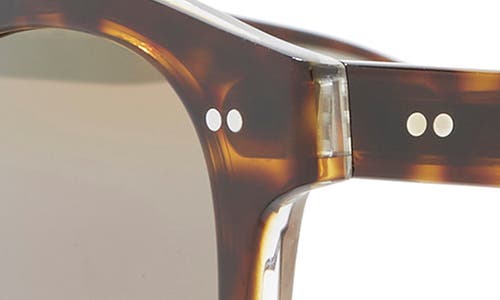 Maui Jim 49mm Core Round Polarized Sunglasses In Tortoise Tortoise Bronze