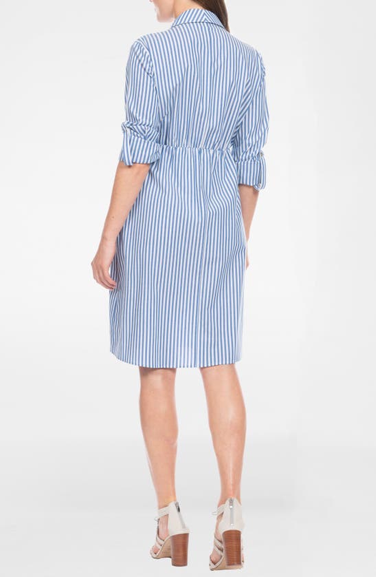 Shop Seraphine Stripe Long Sleeve Maternity/nursing Shirtdress In Blue Stripe