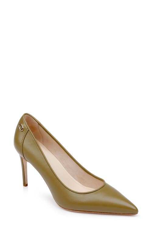Santorini Pointed Toe Pump in Moss Leather