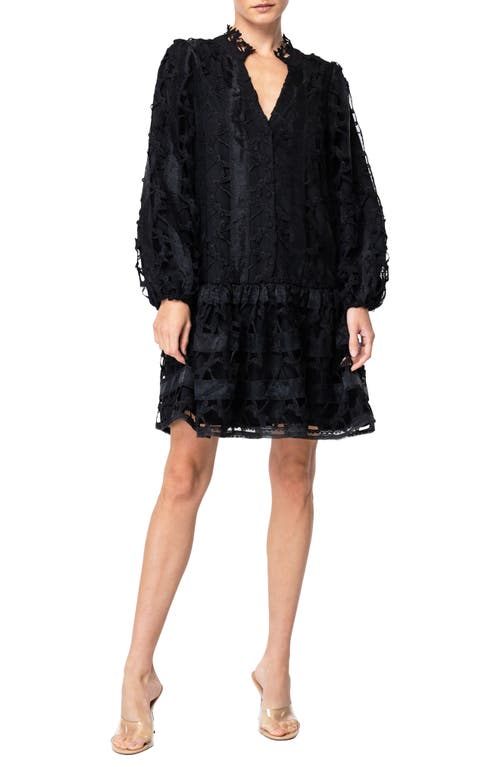 Shop Ciebon Yvia Dragonfly Lace & Organza Drop Waist Dress In Black