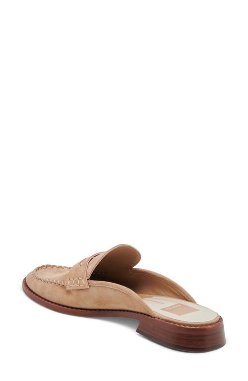 Shop Dolce Vita Havan Loafer Mule In Camel Suede