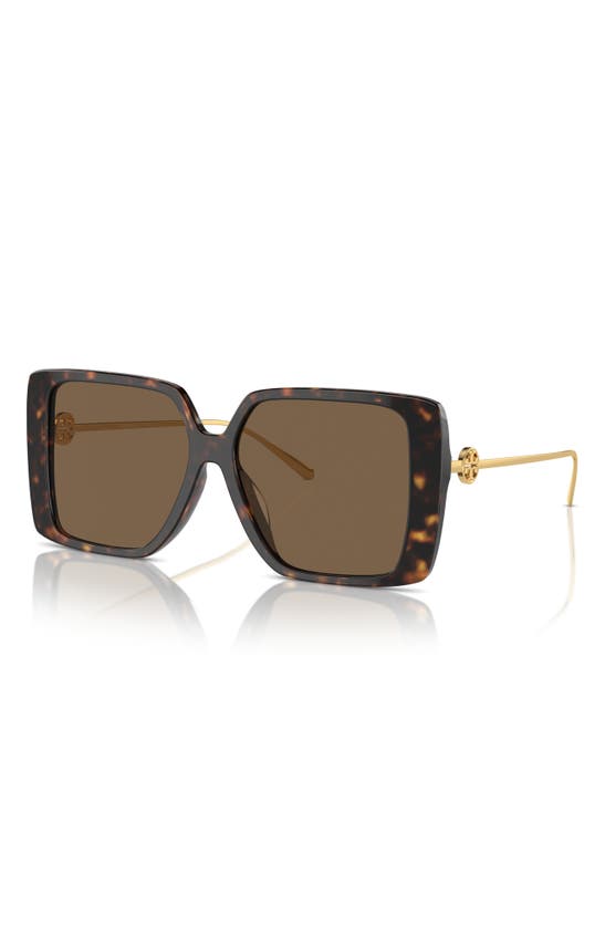 Shop Tory Burch 56mm Square Sunglasses In Tortoise