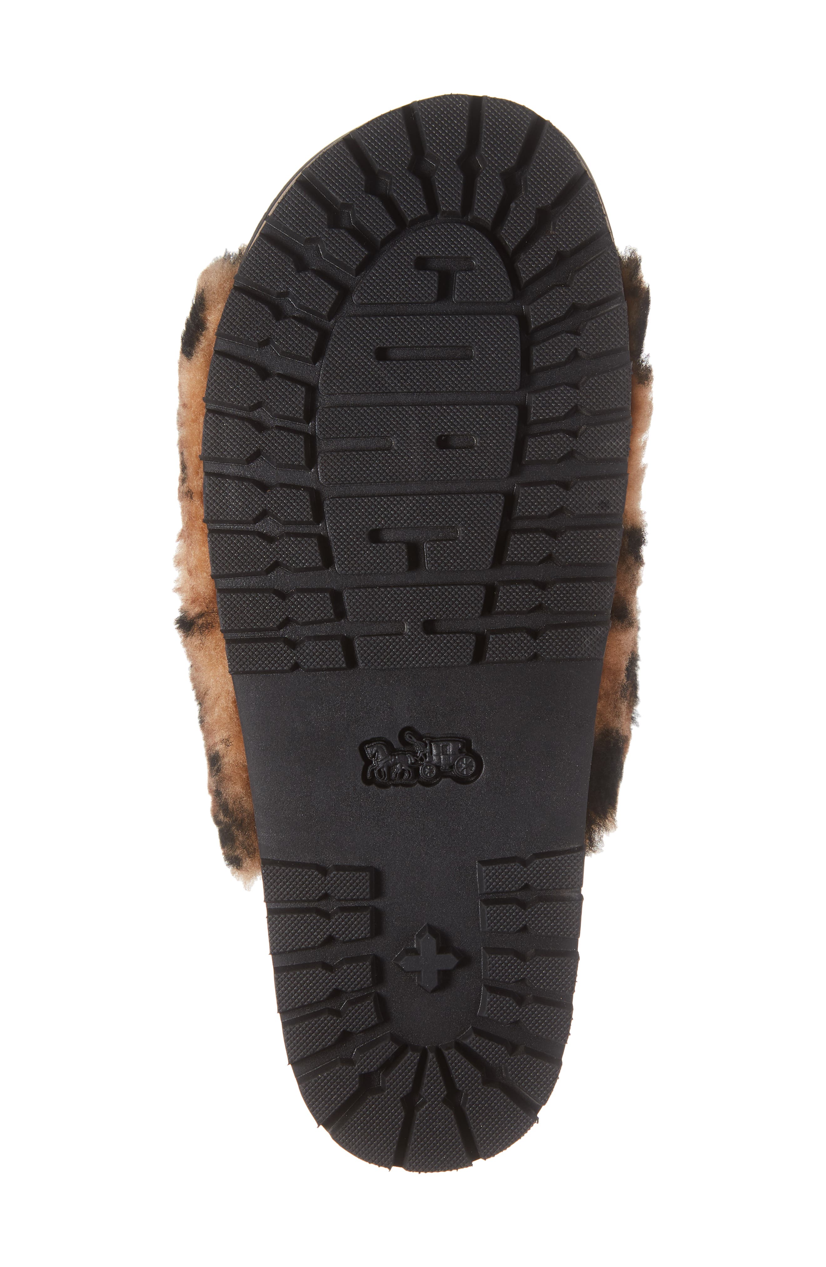kloe slide coach