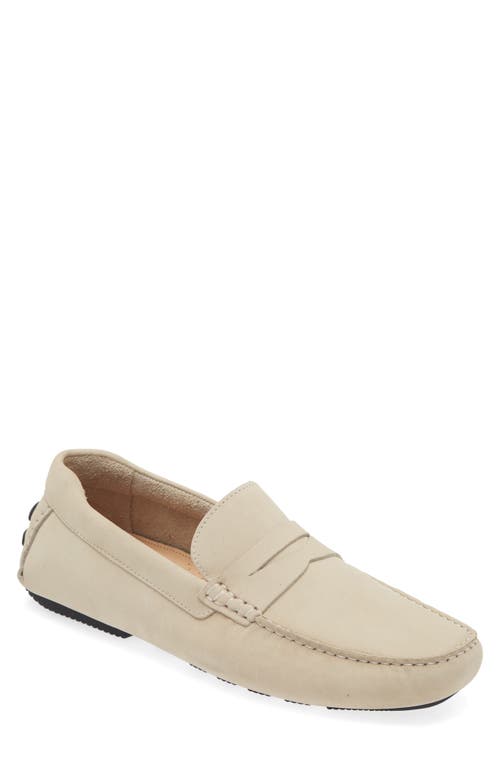 Cody Driving Loafer in Beige Ivory