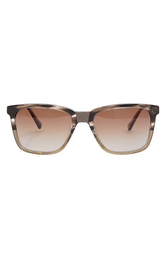 TED BAKER SQUARE POLARIZED SUNGLASSES