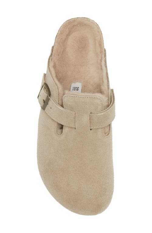 Birkenstock Boston Shearling Suede Mule In Taupe