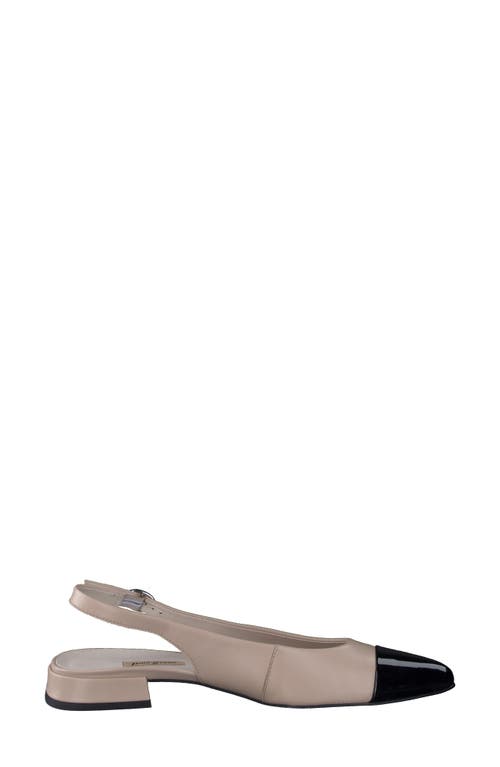 Paul Green Ynez Pointed Toe Slingback Flat In Black Biscuit Combo