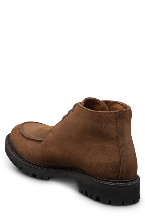 Shop Allen Edmonds Graham Chukka Boot In Snuff