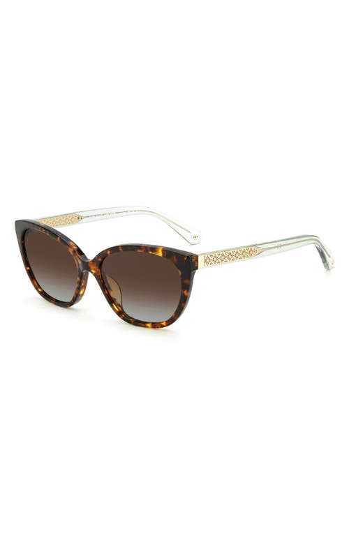 Kate Spade New York Phillipa 54mm Gradient Cat Eye Sunglasses In Havana/brown Sf Polar